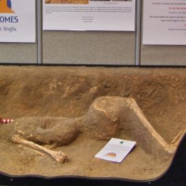 SKELETON LAUNCH HERALDS BUSY TIME FOR MUSEUM GROUP